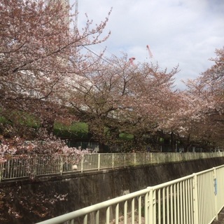 2016-04-13 13.41.05.jpg