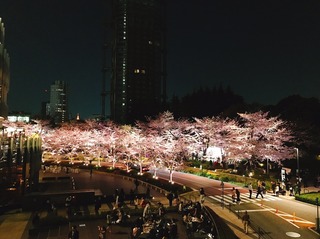 2017-04-04 23.37.59.jpg