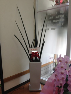 image8.jpg